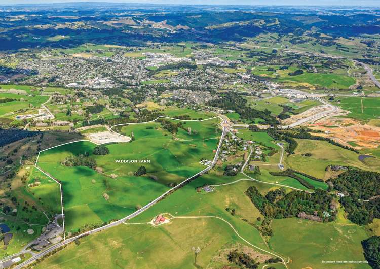 Matakana Road Warkworth_1