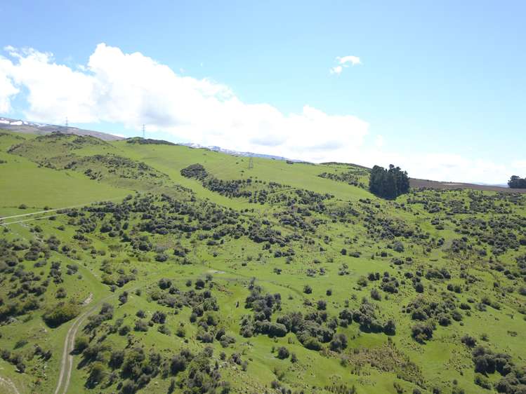 2472 Fruitlands-Roxburgh Roxburgh_13