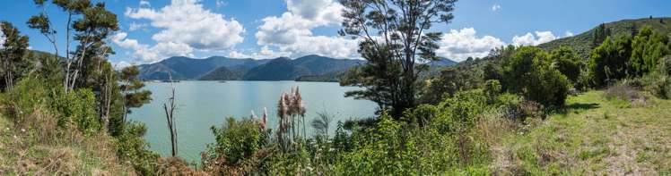 131 Queen Charlotte Drive Havelock_11