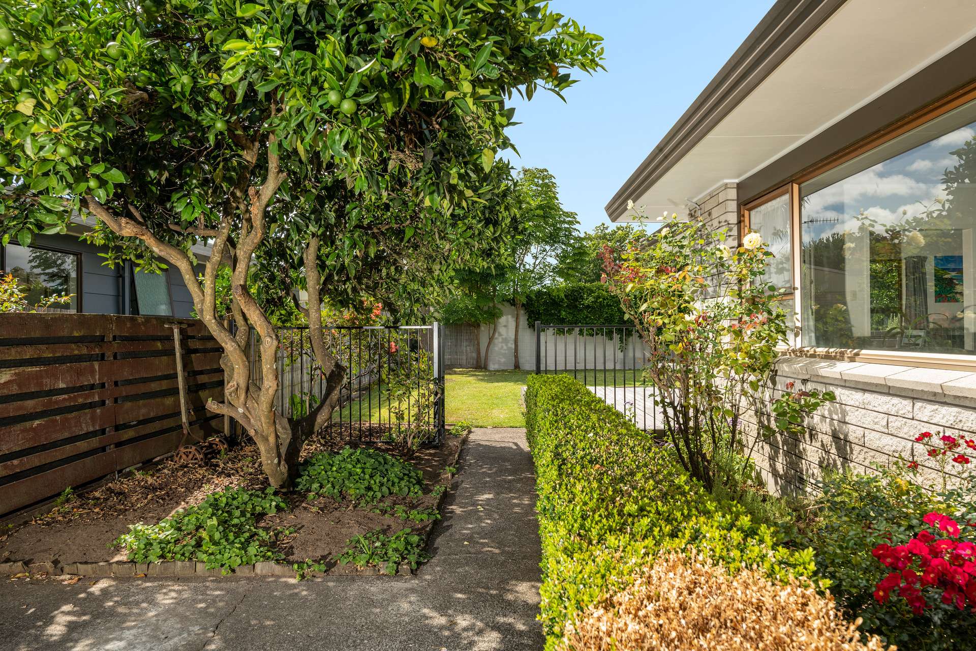 84b Fraser Street Tauranga South_0