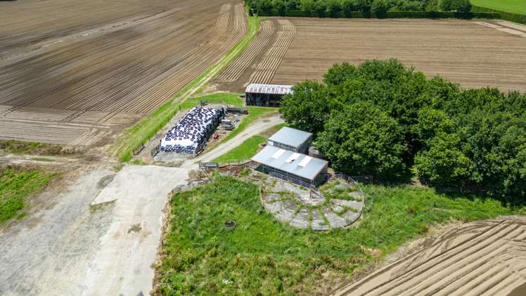 314 Campbell Road Richmond Downs_5