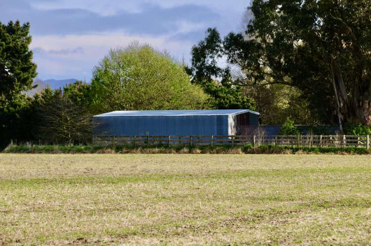 Willowbridge Road Waimate_22