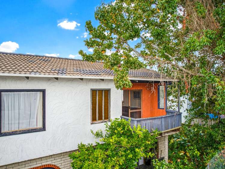 11B Lloyd Avenue Mount Albert_17