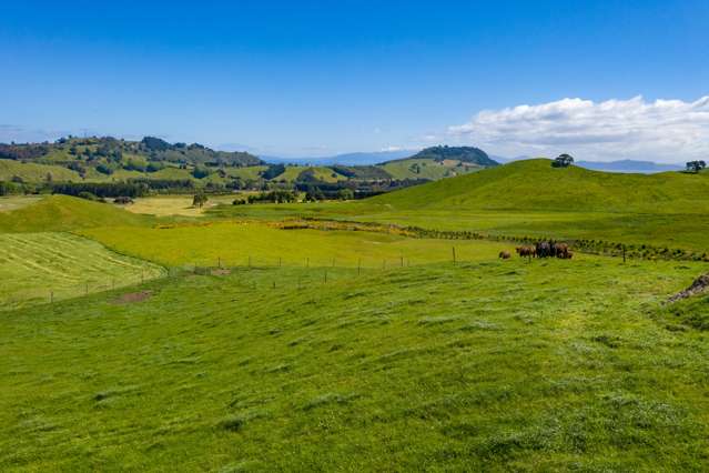 658 Tukairangi Road Kinloch_3