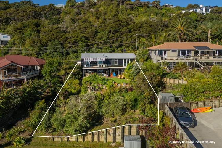 191 Buffalo Beach Road Whitianga_5