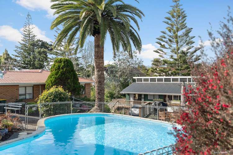 19/16 Willerton Avenue New Lynn_3