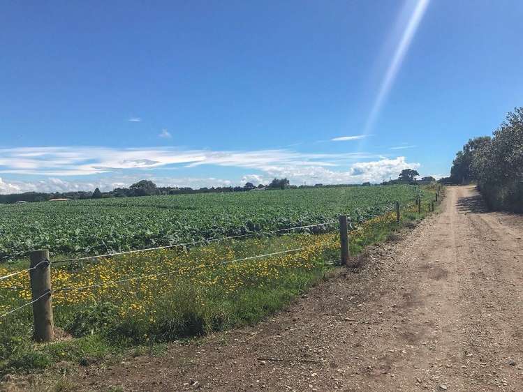 112 Kennington Waimatua Road Kennington_22