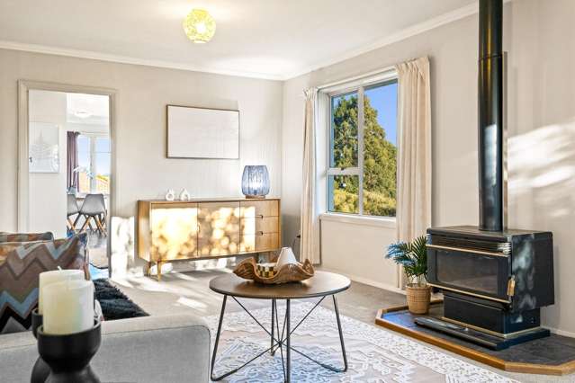 429 Pine Hill Road Pine Hill_2