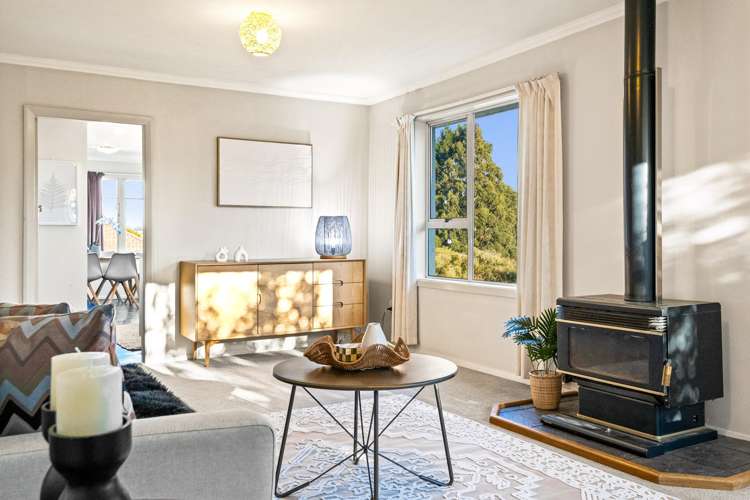 429 Pine Hill Road Pine Hill_2