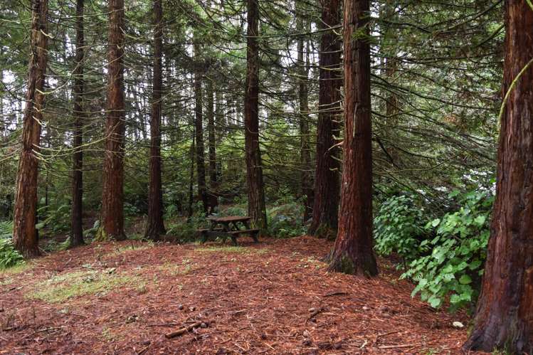 14 Tupelo Place Ohauiti_25