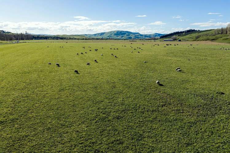 1269 Elsthorpe Road Patangata_25