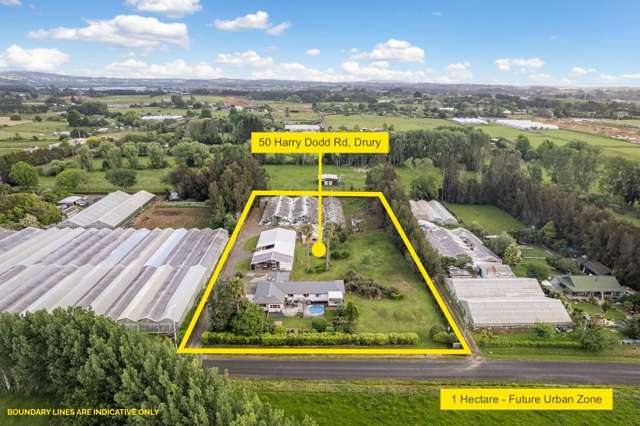 Prime Future Urban Investment - 1 Hectare