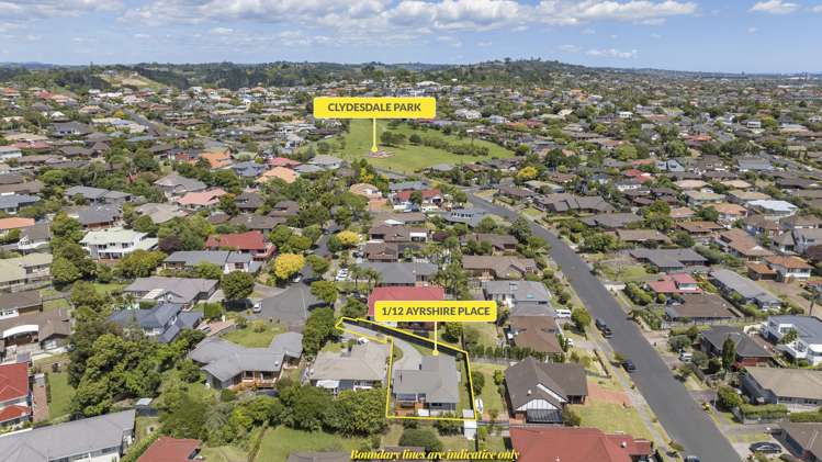 1/12 Ayrshire Place Somerville_25