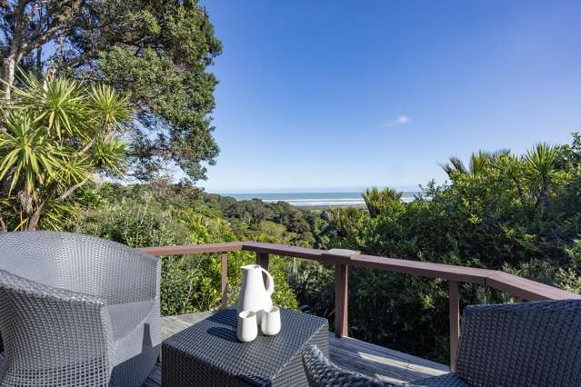101b Garden Road Piha_4