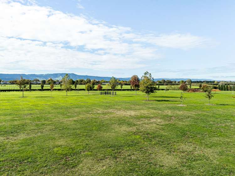 - Highgrove Station Road Matamata_24