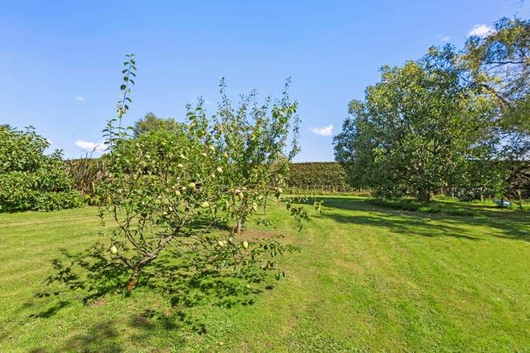 243 Woodside Road Matangi_44