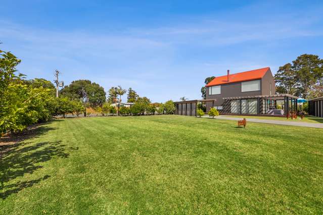 3 Citrus Place Mangawhai_2