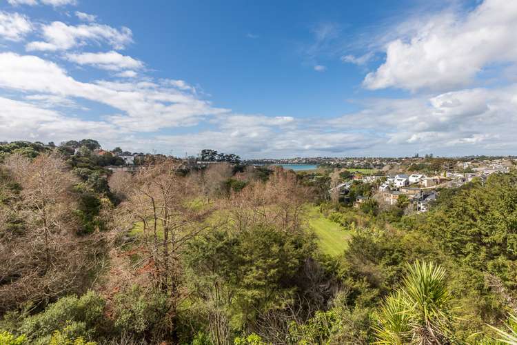 3m Laxon Terrace Remuera_16