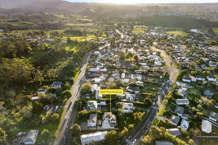 48a Pine Avenue Henderson_16