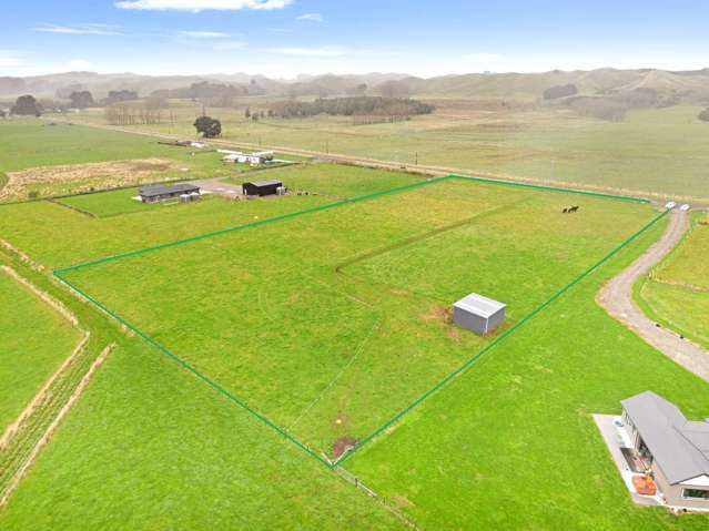 Dream Lifestyle Block -3.84 Acres in Kiwitea.