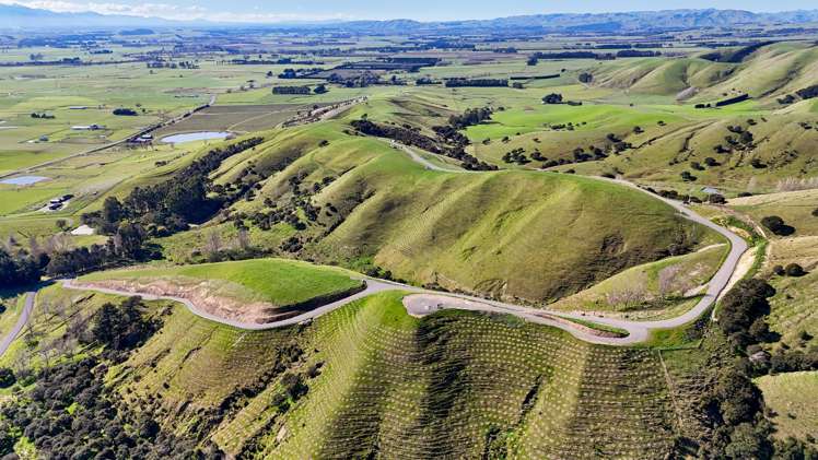 24 Sinclair Way Martinborough_16