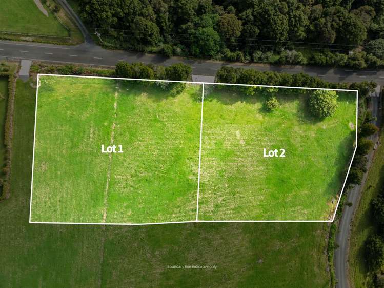 Lot 1 & Lot 2 Te Rongo Road_2