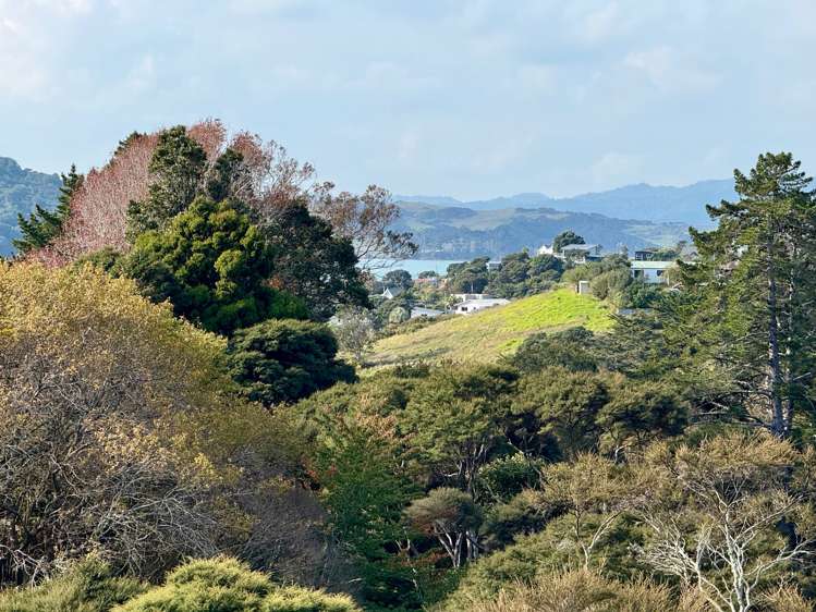58 Bow Street Raglan_22
