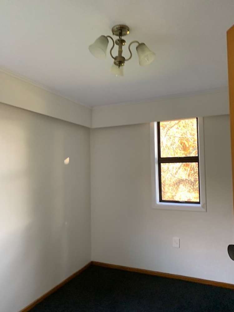 6 Roslyn Street 1154_7