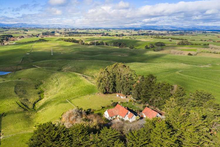 768 Mount Stewart Halcombe Road Halcombe_47