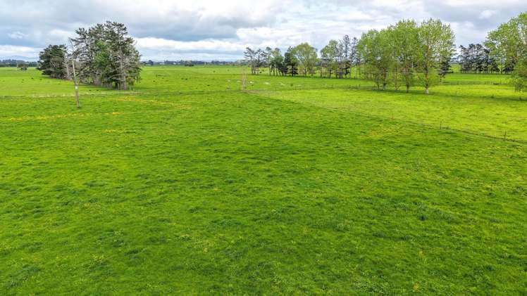 264 Matatoki Road Matatoki_30