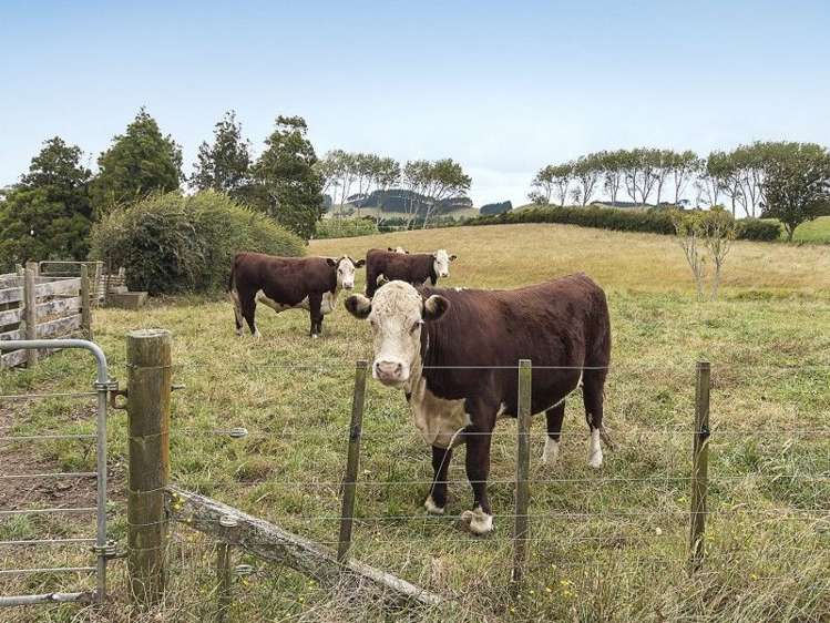 214a Kaipo Flats Road Onewhero_11