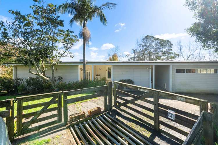 162 Ara-Kotinga Whitford_22