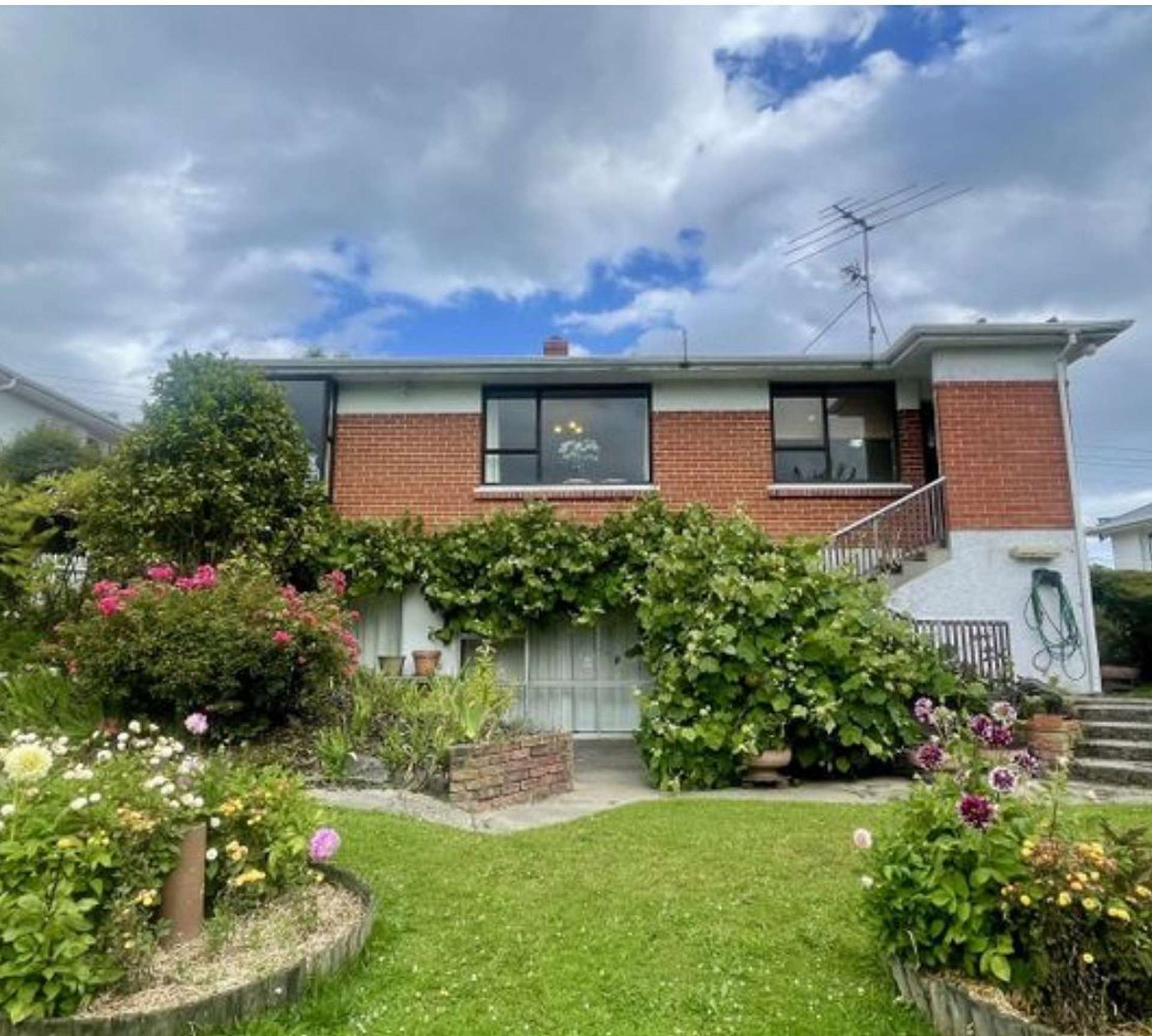 245 Pine Hill Road Dalmore_0