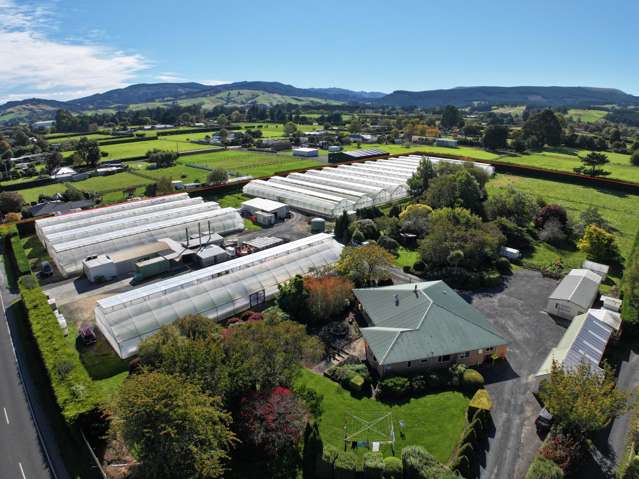 Saddleview Greens Hydroponics