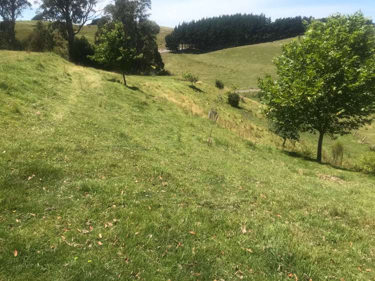 78 State Highway 3 Turakina_10