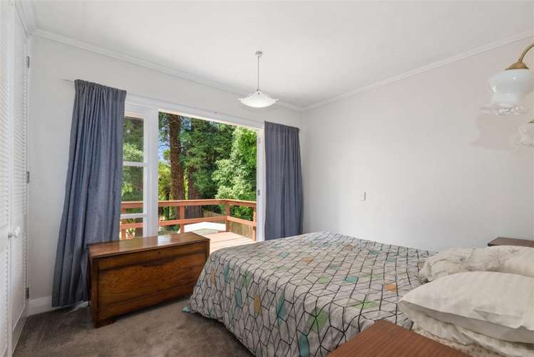 13 Nikau Street Springfield_7