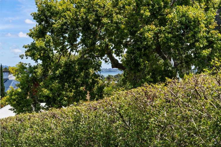 4/24a Hamilton Road Herne Bay_26