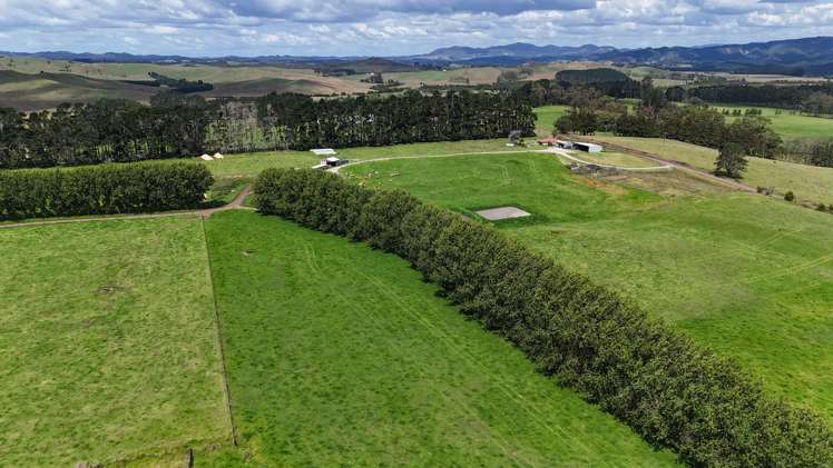 374 Rakauwahia Road Taheke_12