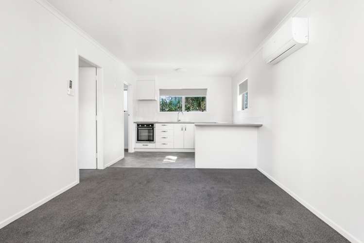 16 O'Neill Street Claudelands_21