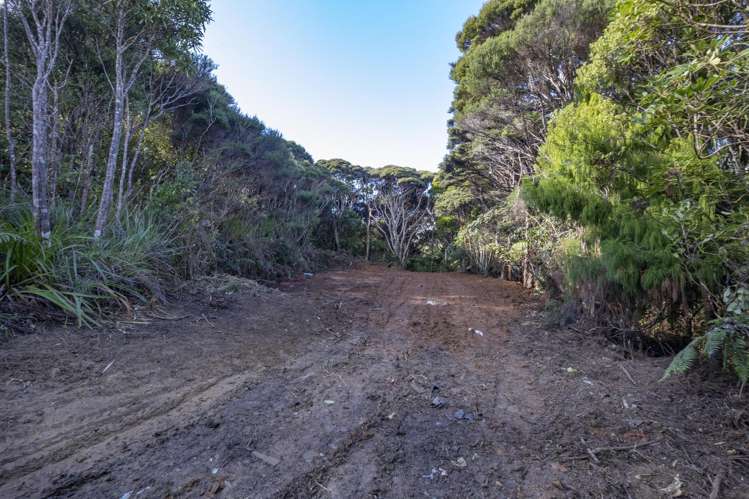 14 La Trobe Track Karekare_12