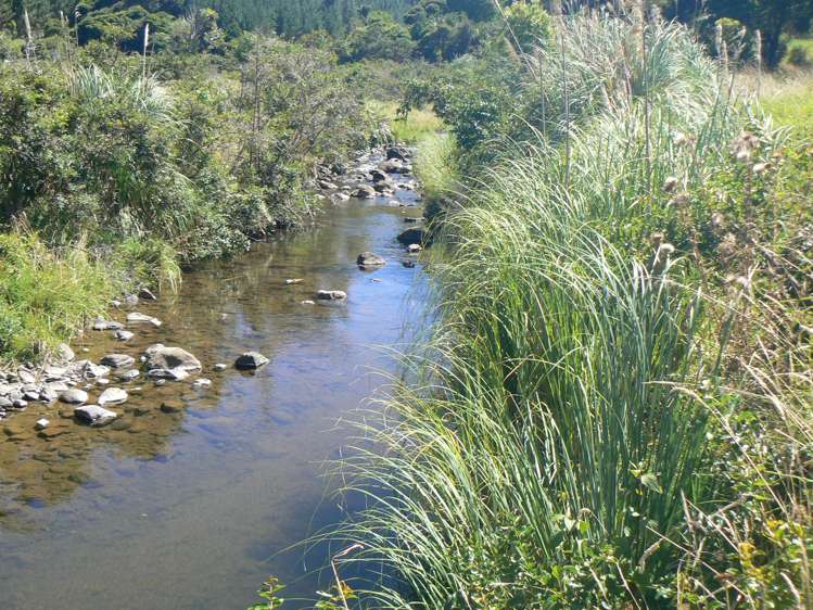 Takahue Saddle Rd Broadwood_7