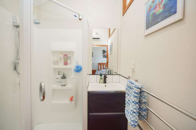 239 Herbert Street Windsor_26