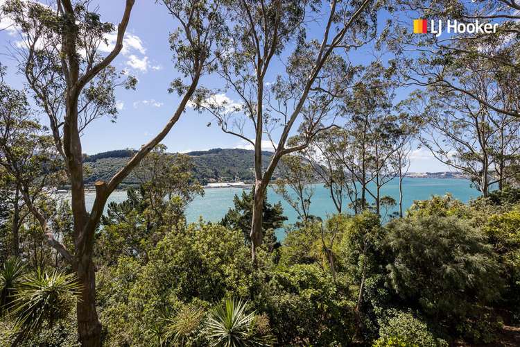 21 Coolock Crescent Waverley_20