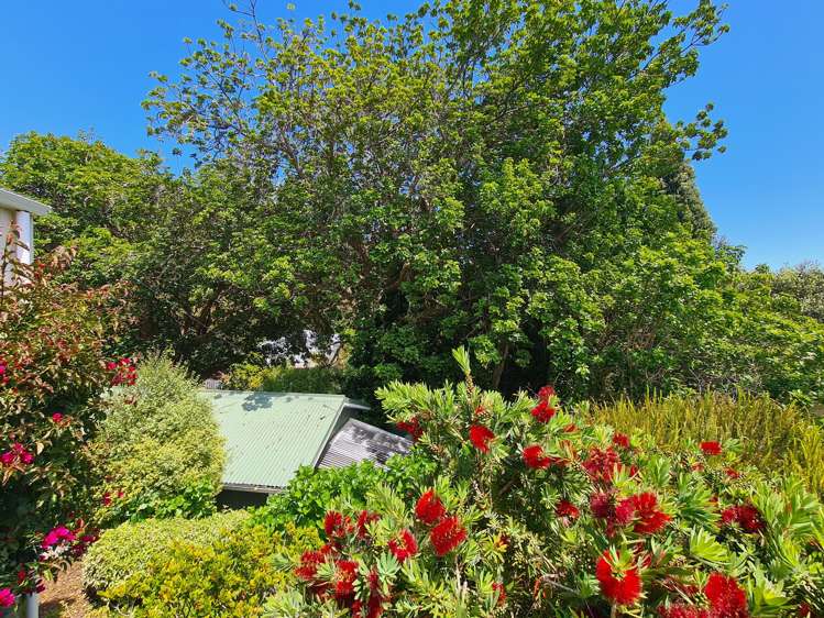 43 Kowhai Drive Te Kouma_10
