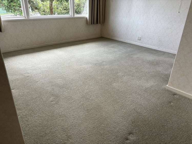 492 Hillsborough Road Mount Roskill_7