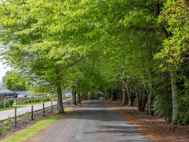 9 Ascot Downs Kerikeri_3