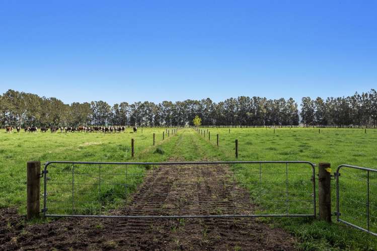 96A and 148 Hallett Road Otakiri_22