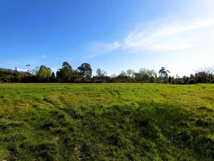 1 Hawes Street Waimangaroa_5