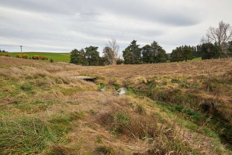 98 Fosters Road Cheviot_12