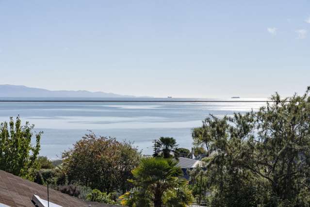 19 Malvern Avenue Atawhai_3
